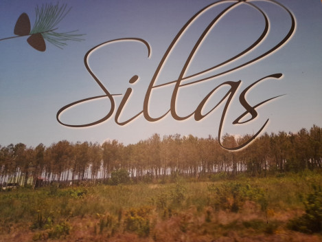 sillas 1.jpeg